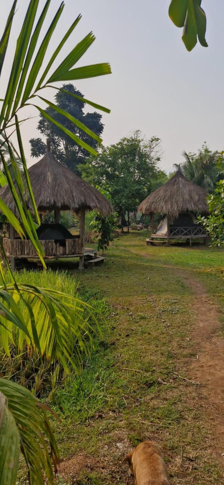 Bolaven Garden Bungalow And Tent - Tad Lo Ban Kiangtat Exteriör bild