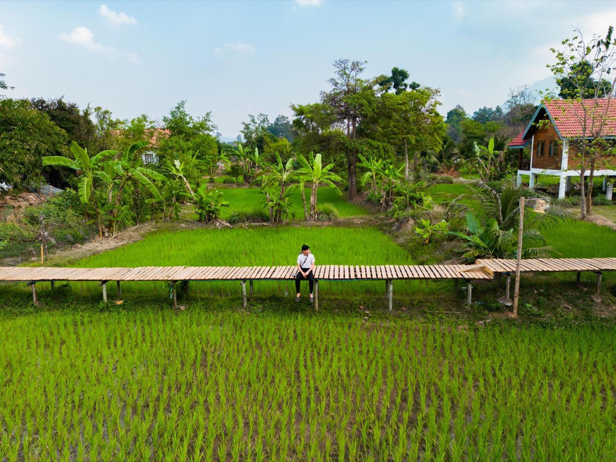Bolaven Garden Bungalow And Tent - Tad Lo Ban Kiangtat Exteriör bild
