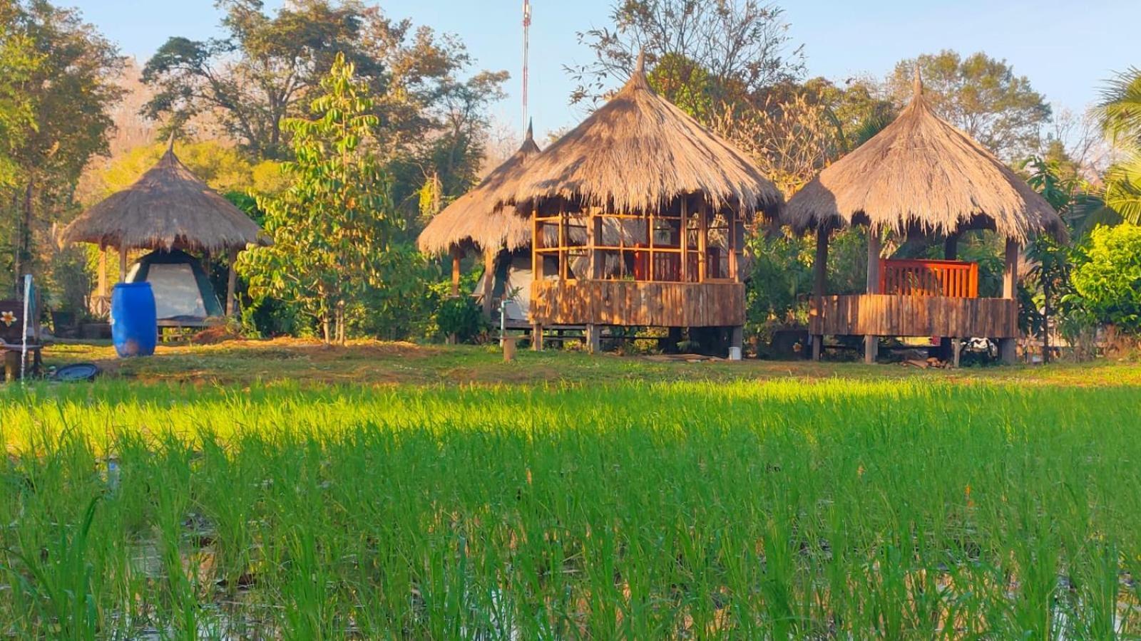 Bolaven Garden Bungalow And Tent - Tad Lo Ban Kiangtat Exteriör bild